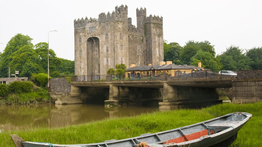 Dublin: Cliffs of Moher, Ennis, & Bunratty Castle Day Tour - Who should book this tour?