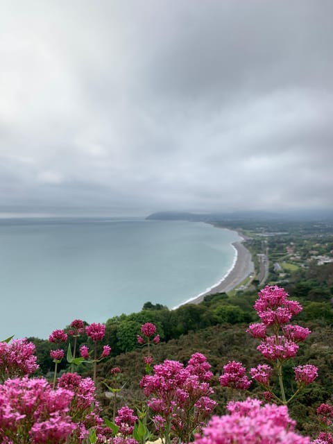 Dublin Coast & Wicklow Mountains: Luxury Private Day Tour - Glendalough and the Walk to Saint Kevin’s Lakes