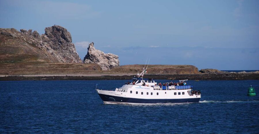 Dublin: Dublin Bay Cruise from Howth to Dun Laoghaire - Starting at Howth’s West Pier
