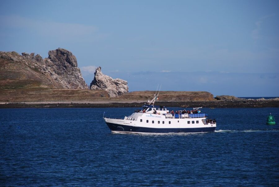 Dublin: Dublin Bay Cruise from Howth to Dun Laoghaire - Howth Cliffs and the turn around Howth Head