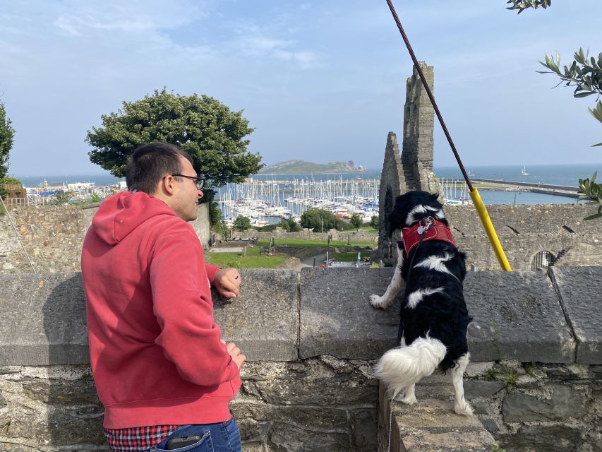 Dublin: Dublin Coastal Hike and Pints & Puppies - Should you book the Dublin Coastal Hike and Pints and Puppies tour?