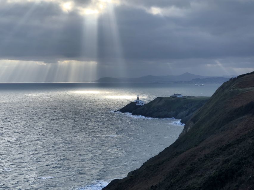 Dublin: Dublin Coastal Hike and Pints & Puppies - Looking for seals along the shore