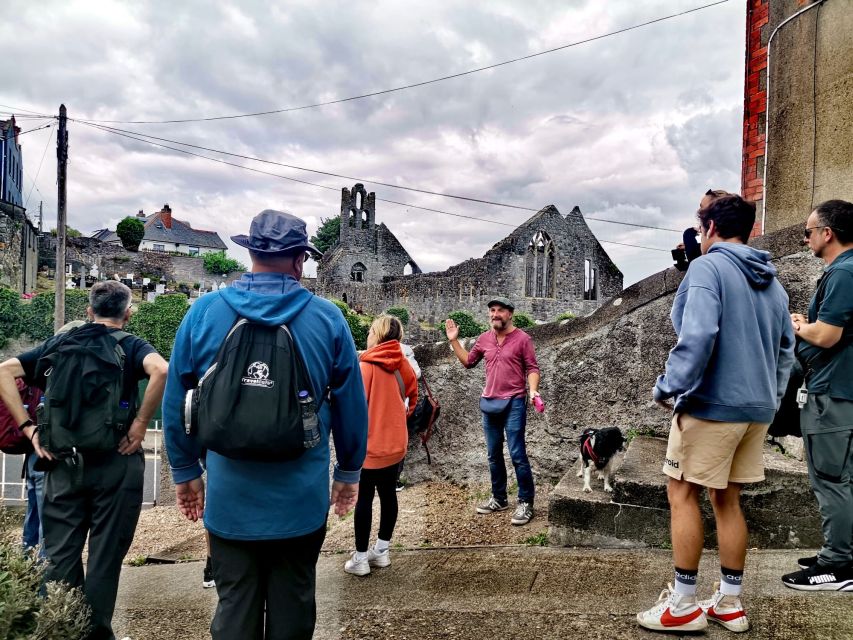Dublin: Dublin Coastal Hike and Pints & Puppies - Hearing Viking and Norman stories beside a 700-year-old castle