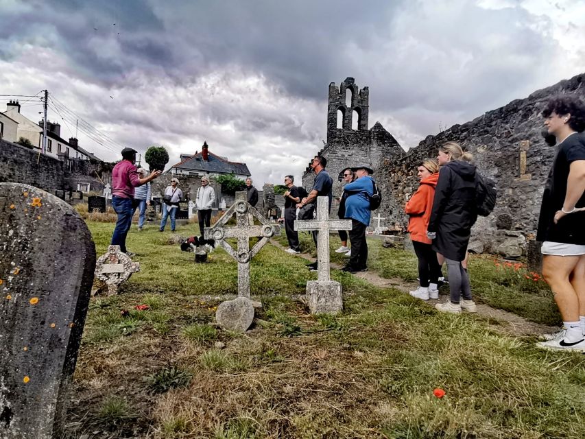 Dublin: Dublin Coastal Hike and Pints & Puppies - Discovering the less obvious side of Howth