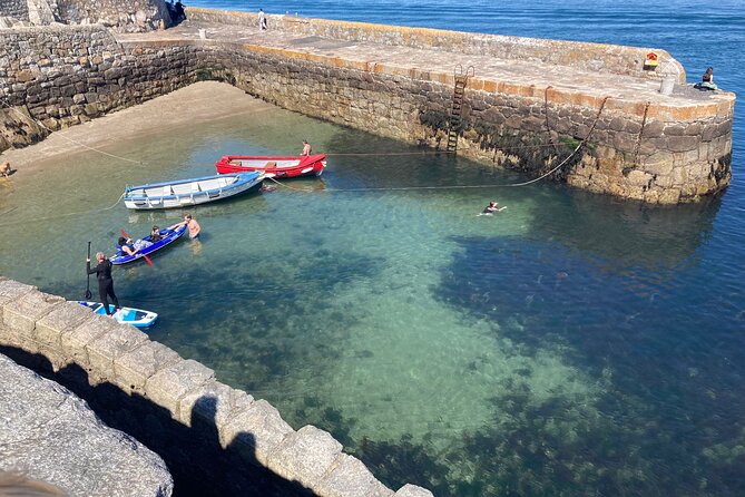 Dublin (Dun Laoghaire) Top-Rated Coastal Walking Tour - Bulloch Harbour and the chance of seals