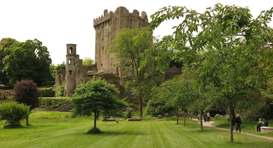 Dublin: Full-Day Tour to Cork, Cobh and Blarney Castle - What the $158 price really covers