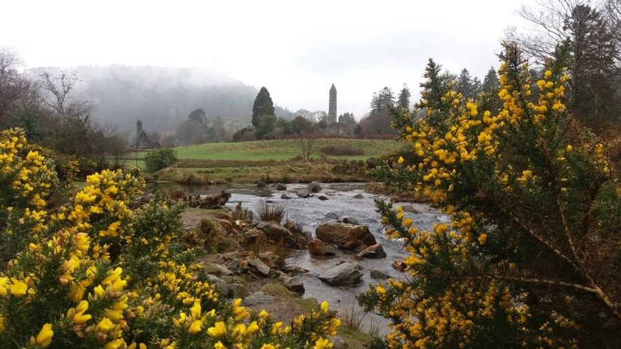 Dublin: Full-Day Wicklow Mountains Tour w/ Glendalough Visit - Key points to know before booking