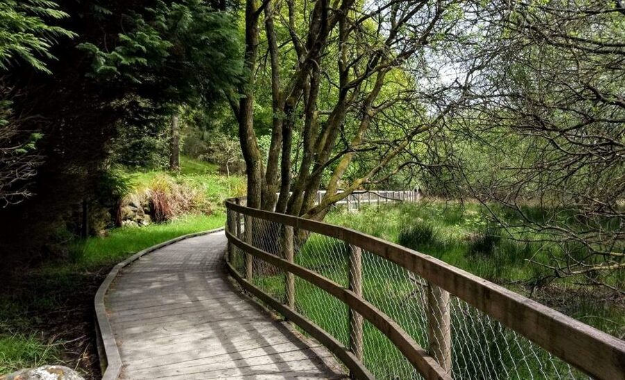 Dublin: Full-Day Wicklow Mountains Tour w/ Glendalough Visit - Who will enjoy this day most