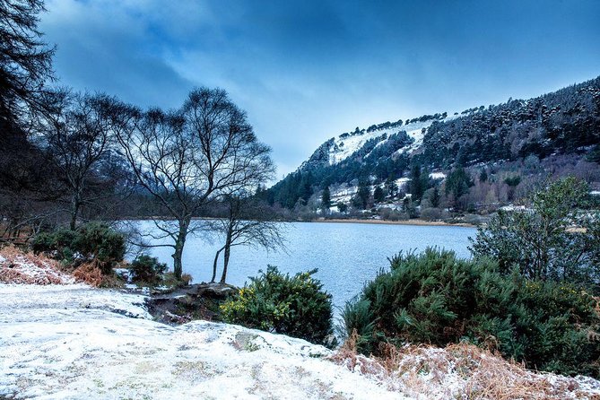 Dublin: Glendalough, Wicklow, Kilkenny and Sheepdog demonstration - Should you book the Glendalough and Kilkenny tour?
