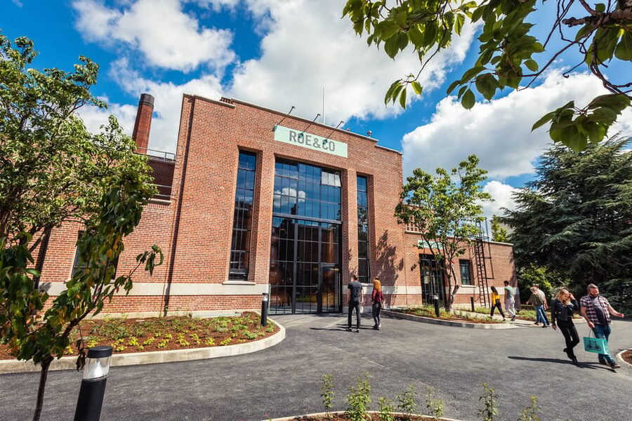 Dublin: Guinness Storehouse, Roe & Co Irish Whiskey Tour - Timing, group comfort, and who should book