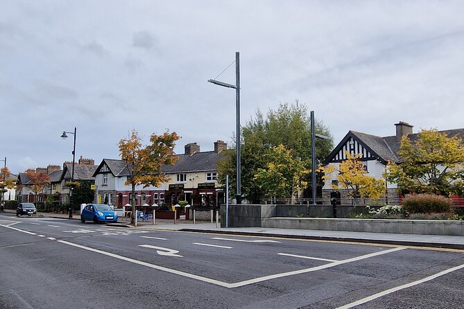 Dublin: Hidden Gem Walking Tour with Local Guide - Kingswood and the first chapters of Tallaght
