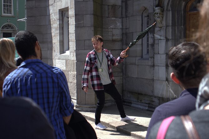 Dublin Highlights and Hidden Gems Guided Walking Tour - Dublin Castle and the medieval city