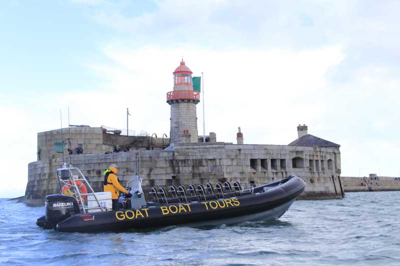 Dublin: History and Wildlife Boat Tour with Live Commentary - Why this Dublin Bay boat trip is worth considering