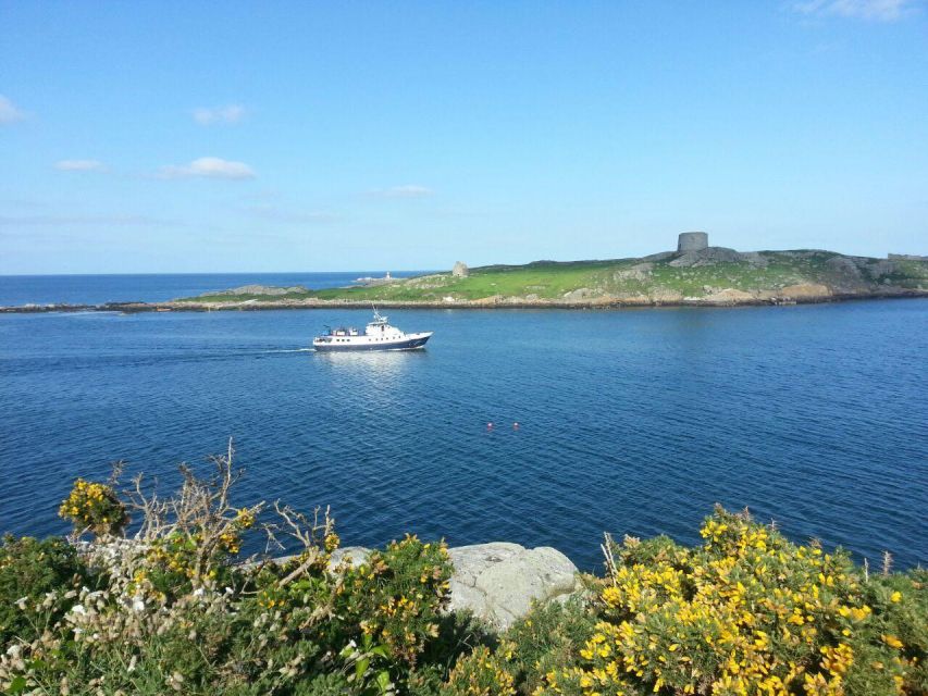 Dublin: Howth Cliffs and Ireland's Eye Boat Cruise - Practical ways to make the hour better