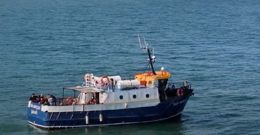 Dublin: Howth Cliffs and Lighthouse Boat Tour - Key points to know before you book