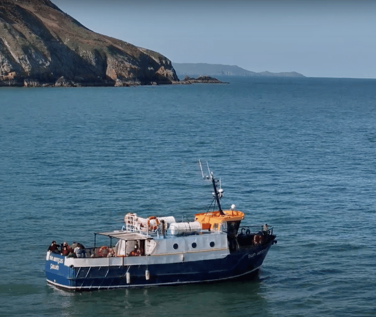 Dublin: Howth Cliffs and Lighthouse Boat Tour - Seals, puffins, and the Dublin Bay Biosphere