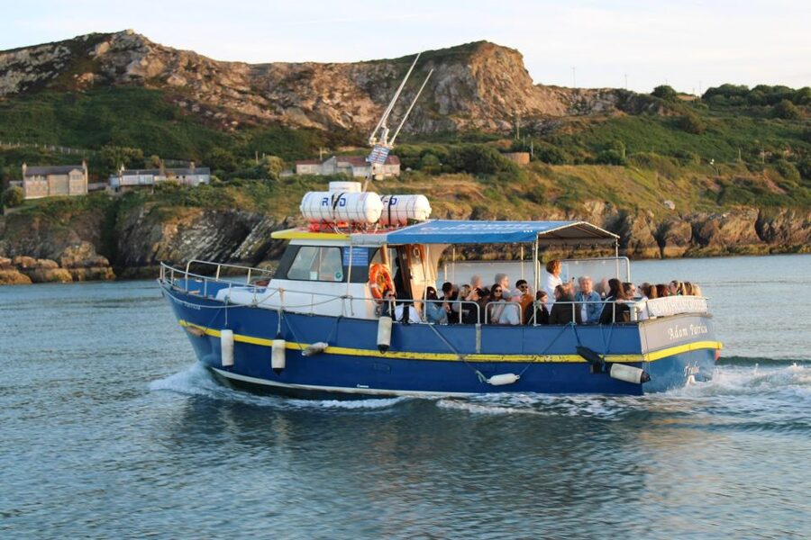 Dublin: Howth Cliffs and Lighthouse Cruise - Key Points at a Glance