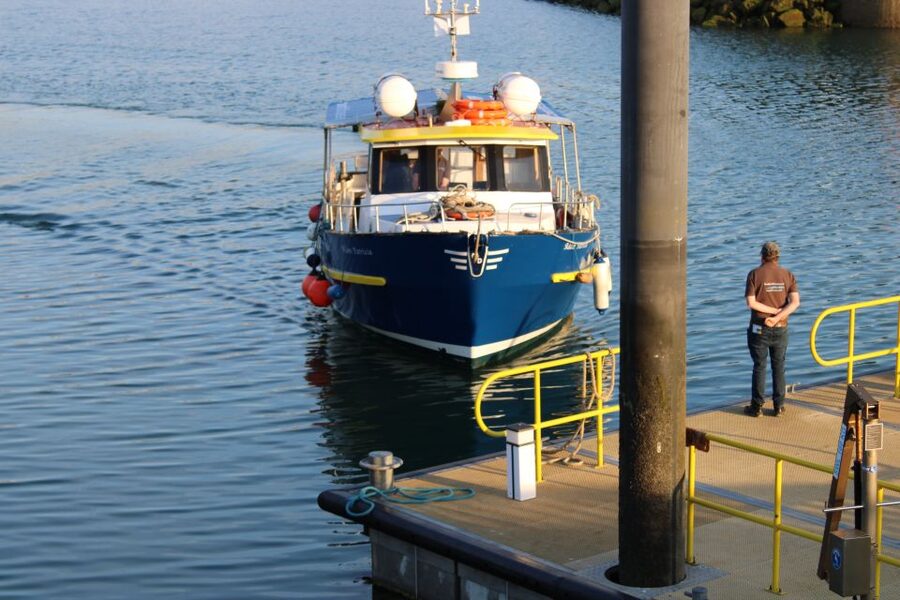 Dublin: Howth Cliffs and Lighthouse Cruise - Why Howth Is Worth Seeing From a Boat