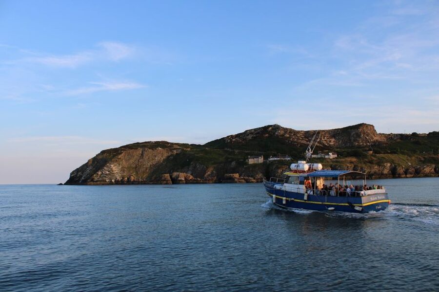 Dublin: Howth Cliffs and Lighthouse Cruise - Meeting at Howth’s West Pier