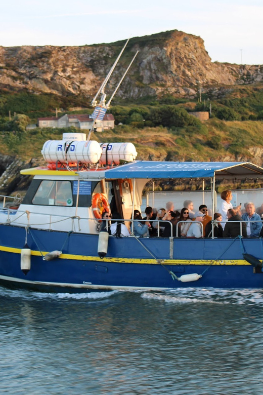 Dublin: Howth Coast and Ireland's Eye Boat Tour - Why Howth is worth the short trip from Dublin
