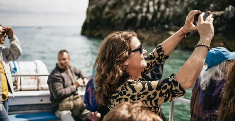 Dublin: Howth Coastal Boat Tour - Five details worth knowing before you book