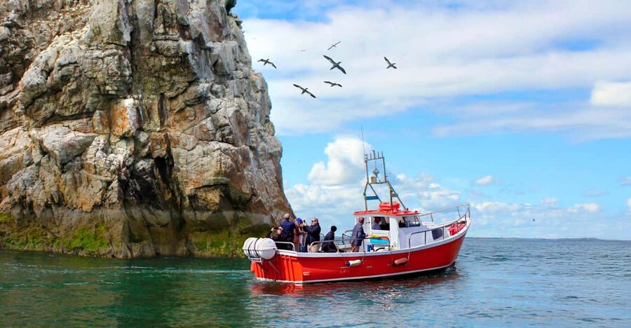 Dublin: Howth Coastal Boat Tour - Wildlife depends on timing and luck
