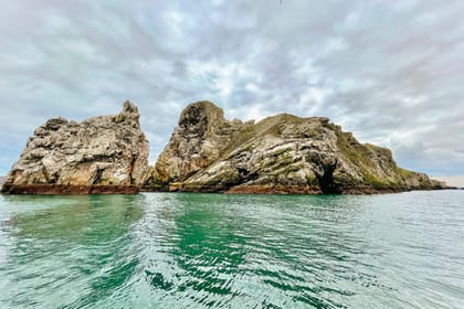 Dublin: Howth Coastal Boat Tour - The guides add the human side