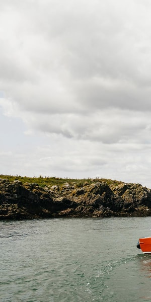 Dublin: Howth Coastal Boat Tour - How the weather changes the ride