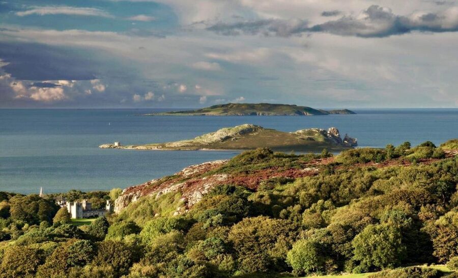 Dublin: Howth Coastal Hiking Tour - The guides make the difference