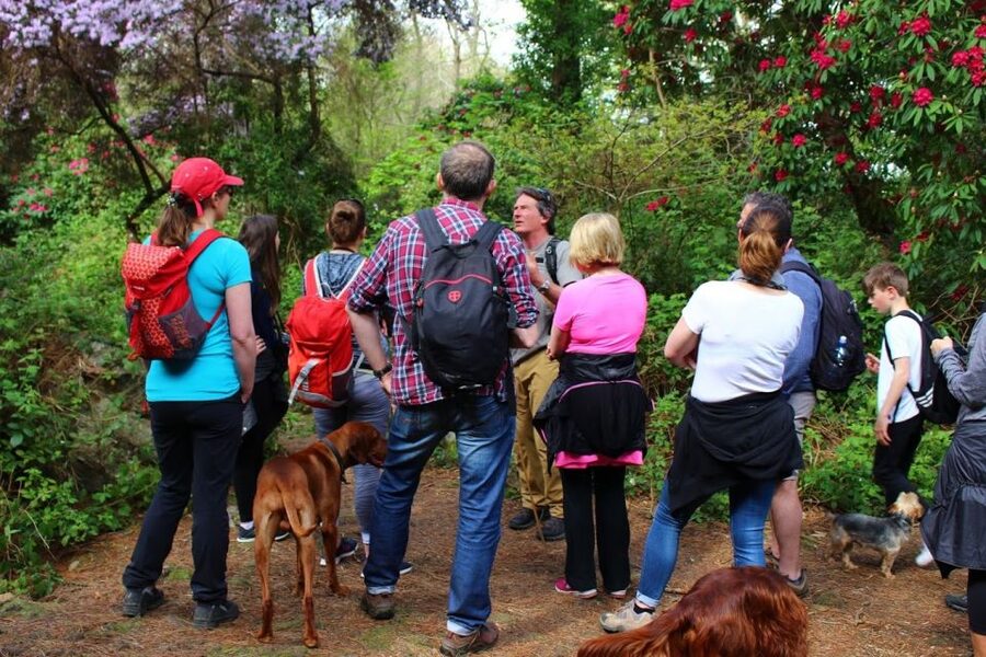 Dublin: Howth Coastal Hiking Tour - How hard is the hike?
