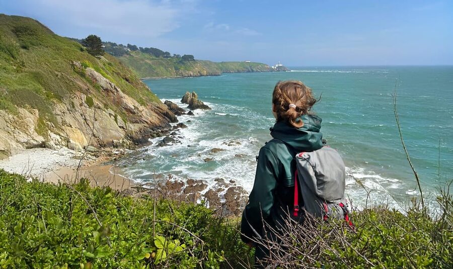 Dublin: Howth Safari Hiking Tour - Key points to know before you book