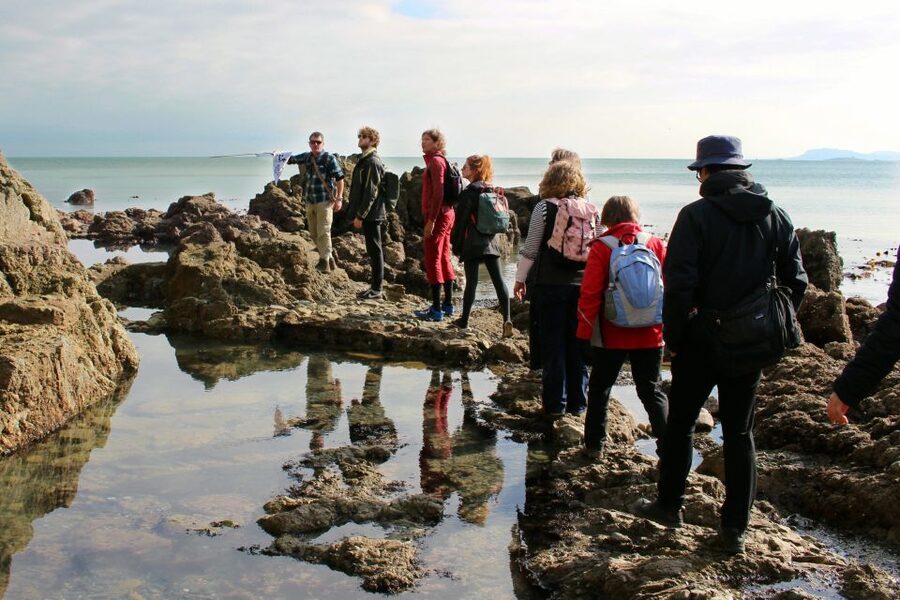 Dublin: Howth Safari Hiking Tour - What the guides add for your $67