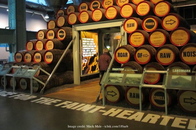 Dublin in a Day Private Tour: Book of Kells & Guinness Storehouse - Why this six-hour route works for a first Dublin day