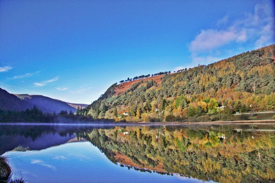 Dublin: Kilkenny, Wicklow & Glendalough Tour & Sheepdog Show - Should you book the Kilkenny, Wicklow, Glendalough and sheepdog tour?