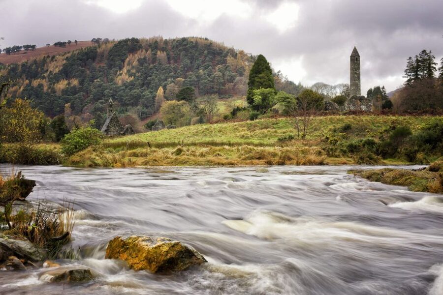Dublin: Kilkenny, Wicklow & Glendalough Tour & Sheepdog Show - The guides and drivers shape the experience