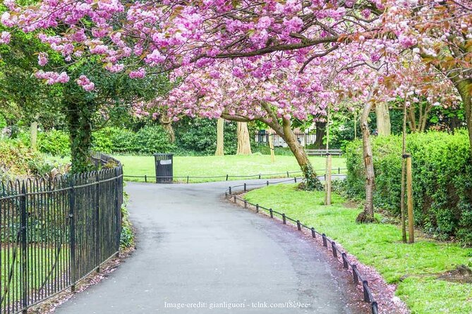 Dublin Off-The-Beaten-Path Private Literary Walking Tour - The guide makes or breaks the experience