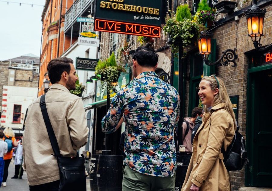 Dublin: Personalized Private Tour with a Local Host - A private way to get your bearings in Dublin