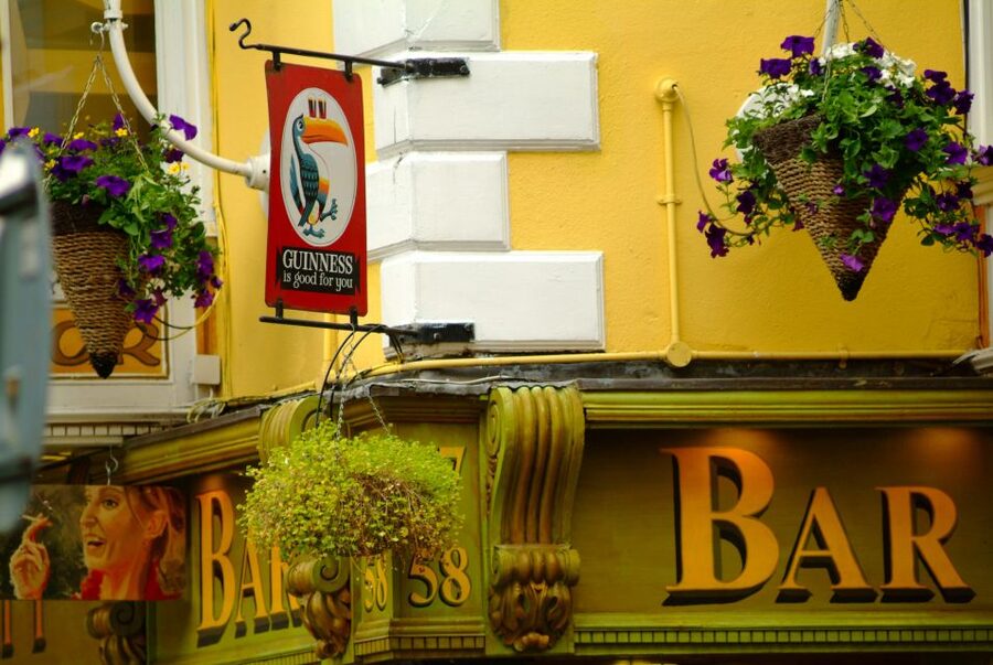 Dublin: Private City Tour in German - Starting in the city center with Trinity College
