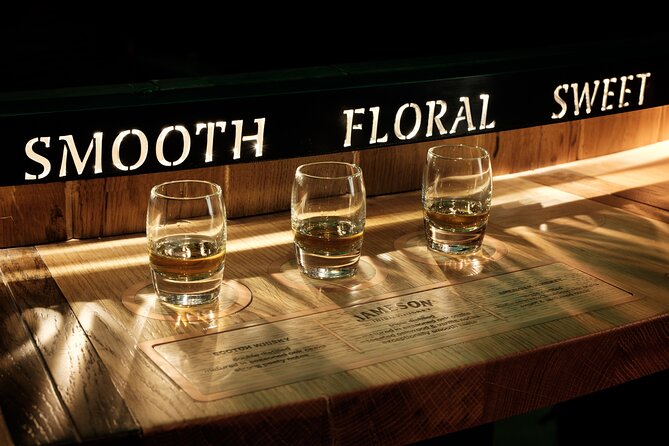 Dublin Private Guinness and Jameson Whiskey Tour with Transfers - Who will get the most from this 4.5-hour outing?
