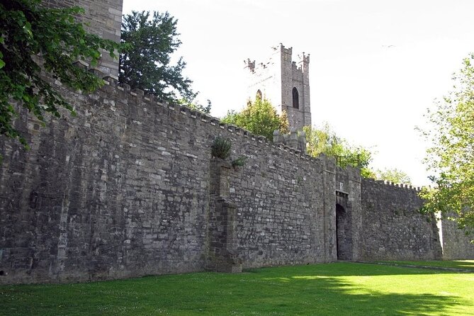 Dublin Private Medieval Walking Tour - St. Patrick’s Cathedral and Ireland’s patron saint