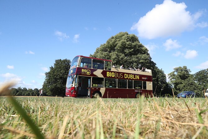 Dublin Shore Excursion, Live Guided Open-top, Hop-on Hop-off Sightseeing Tour - Whiskey stops and Guinness Storehouse