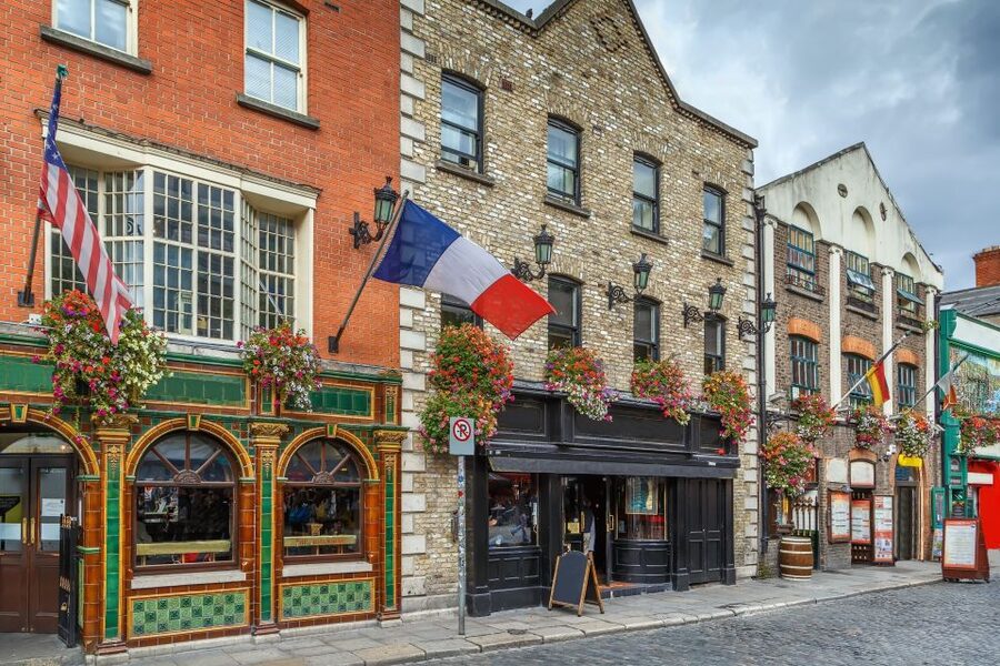 Dublin: Skip-the-line Book of Kells & Old Town Private Tour - What the guide adds