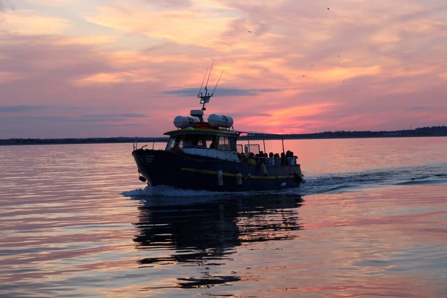 Dublin: Sunset Cruise in Howth - Key points to know before booking