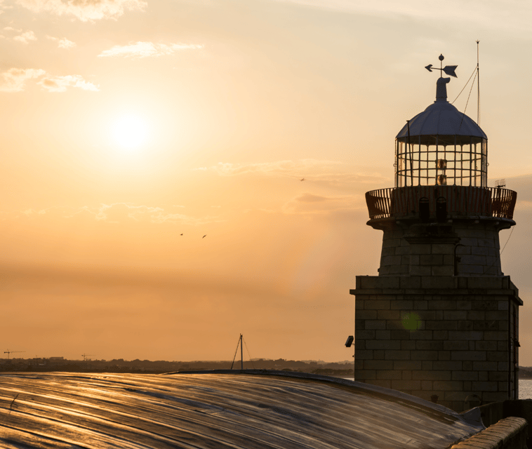 Dublin: Sunset Cruise in Howth - Seabirds, seals, and luck on the water
