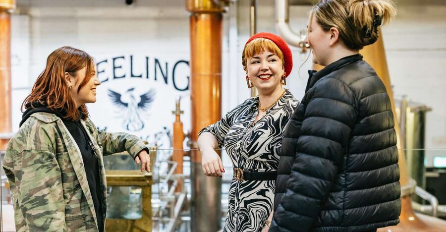 Dublin: Teeling Whiskey Distillery Tour & Tasting - The exhibition space sets the Dublin scene