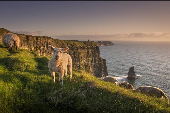 Dublin to Cliffs of Moher, Ennis Town & Bunratty Castle Day Tour - Guides, drivers, and the value of the ride