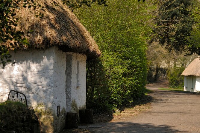 Dublin to Cliffs of Moher, Ennis Town & Bunratty Castle Day Tour - Who should book this day tour?