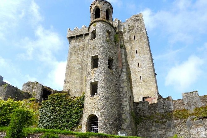 Dublin to Cork, Blarney Castle & Cóbh Heritage Centre by train - Blarney Castle and Gardens: the day’s main attraction