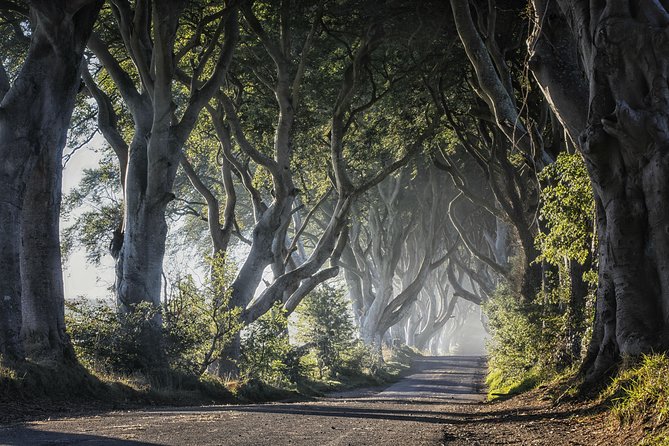 Dublin to Dunluce Castle, Giant's Causeway, Dark Hedges & Belfast - Timing, comfort, and the large-coach tradeoff
