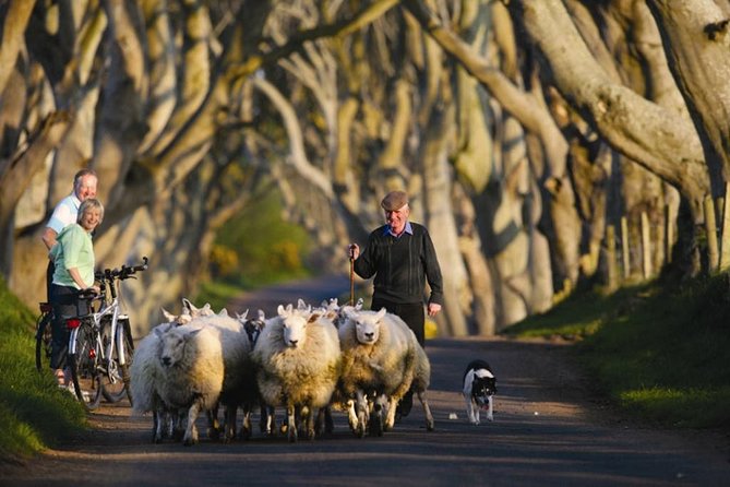 Dublin to Dunluce Castle, Giant's Causeway, Dark Hedges & Belfast - The 6:45 a.m. start from central Dublin